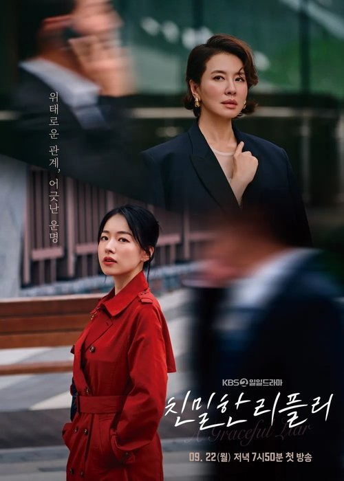 Póster de 친밀한 리플리