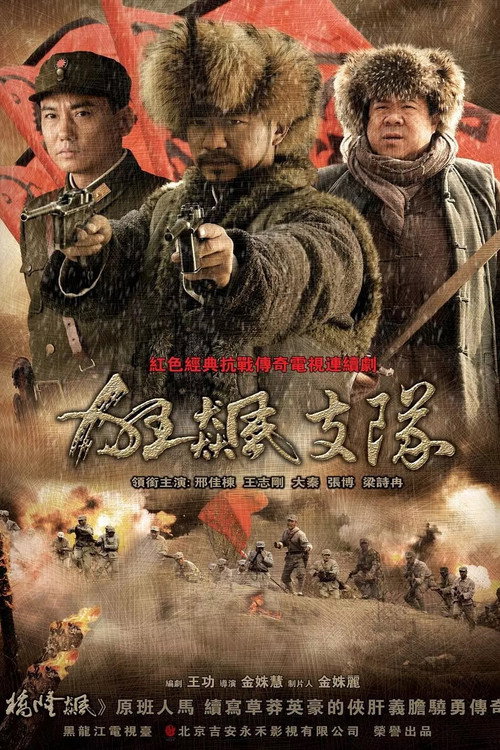 Póster de 狂飙支队