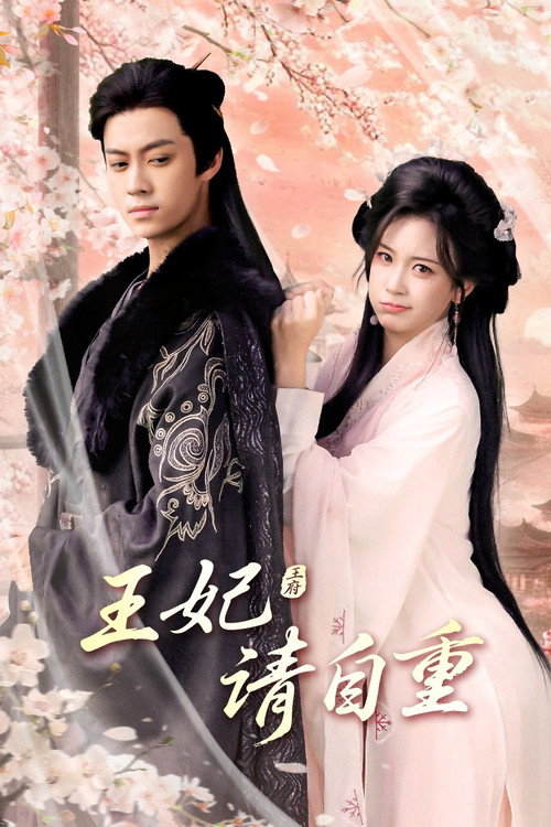 Póster de 王妃请自重