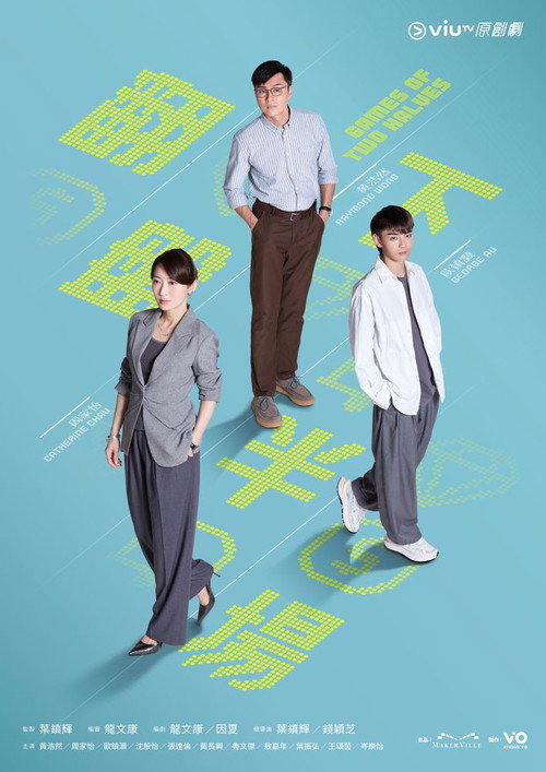 Póster de 翻盘下半场