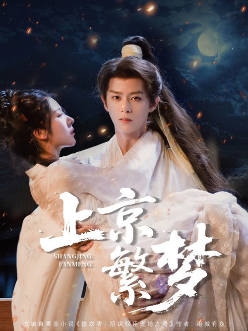 Póster de 上京繁梦