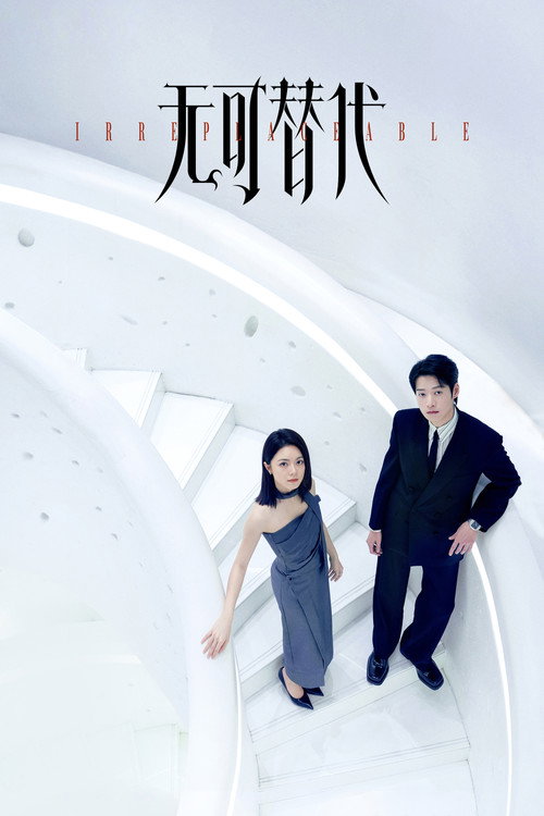 Póster de 无可替代