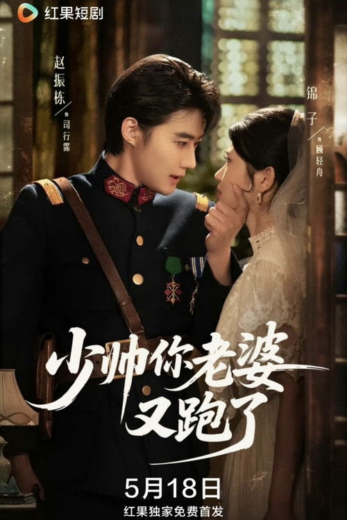 Póster de 少帅你老婆又跑了