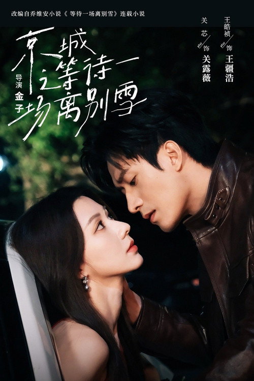 Póster de 京城之等待一场离别雪