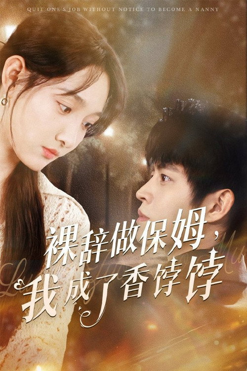 Póster de 裸辞做保姆，我成了香饽饽