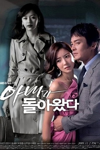 Póster de 아내가 돌아왔다