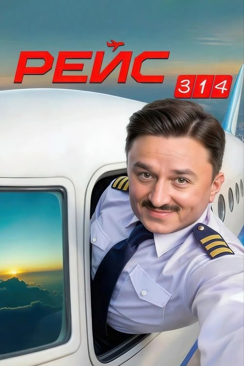 Póster de Рейс 314