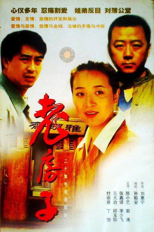 Póster de 老房子