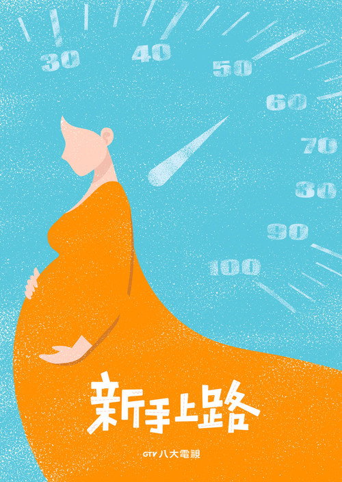 Póster de 新手上路