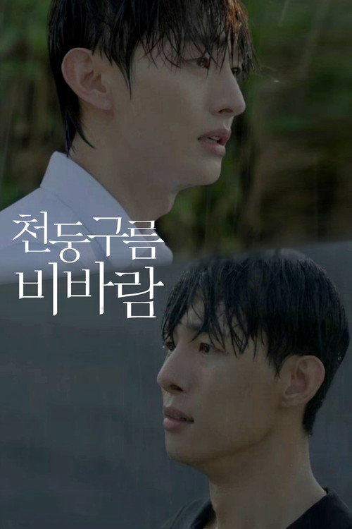 Póster de 천둥구름 비바람