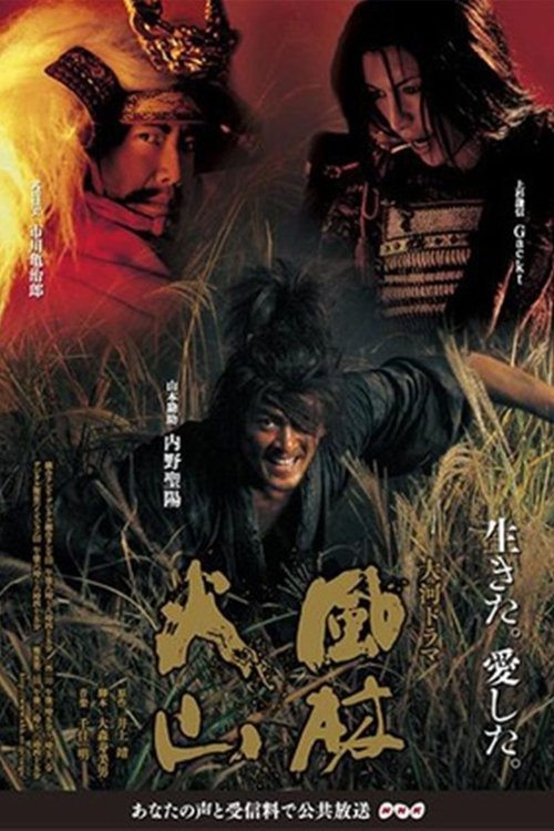 Póster de 風林火山