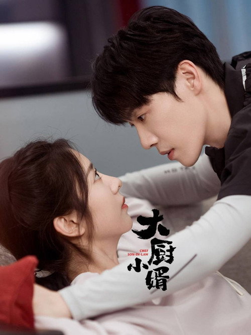 Póster de 大厨小婿