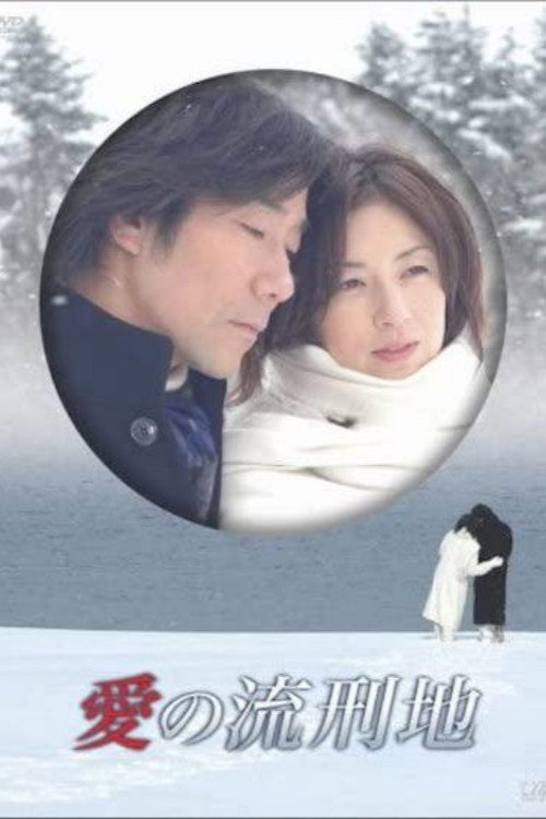 Póster de 愛の流刑地