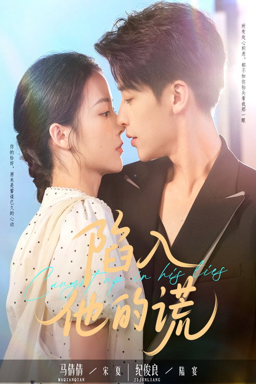 Póster de 陷入他的谎