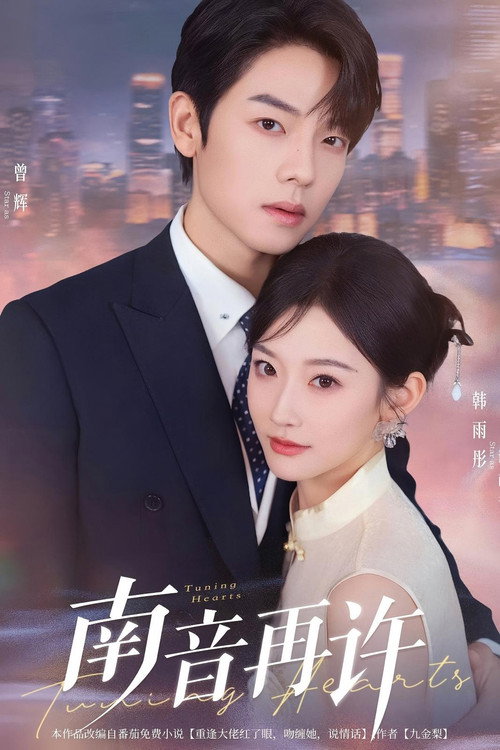 Póster de 南音再许