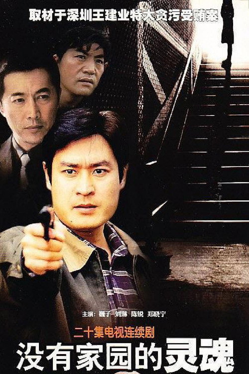 Póster de 没有家园的灵魂