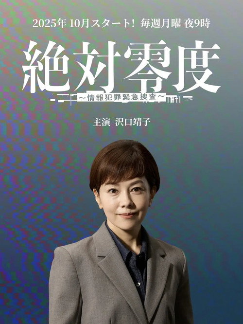 Póster de 絶対零度～情報犯罪緊急捜査～