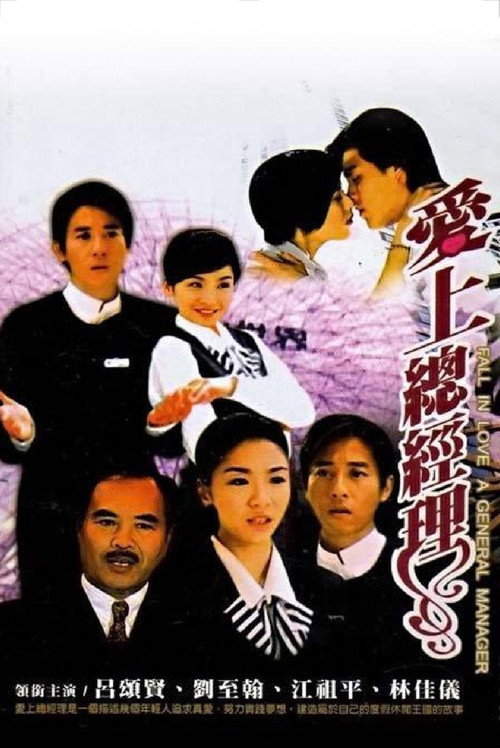 Póster de 爱上总经理