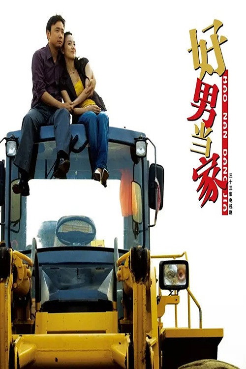 Póster de 好男当家