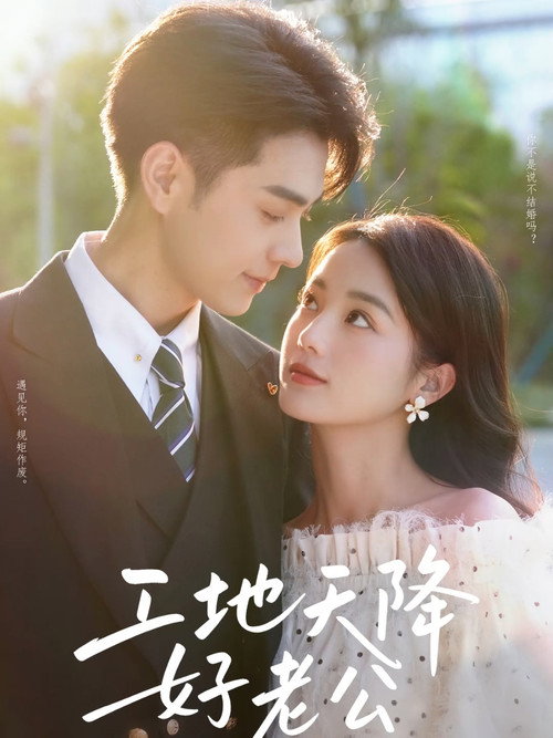 Póster de 工地天降好老公