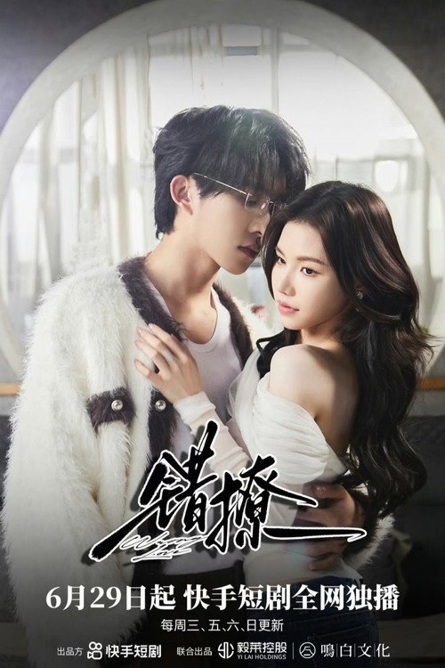 Póster de 错撩