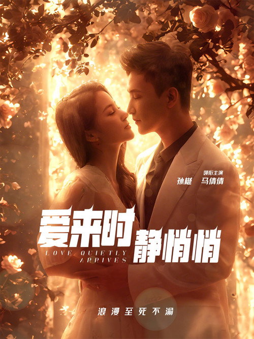 Póster de 爱来时静悄悄