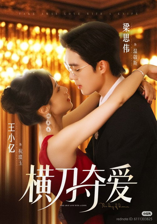 Póster de 横刀夺爱