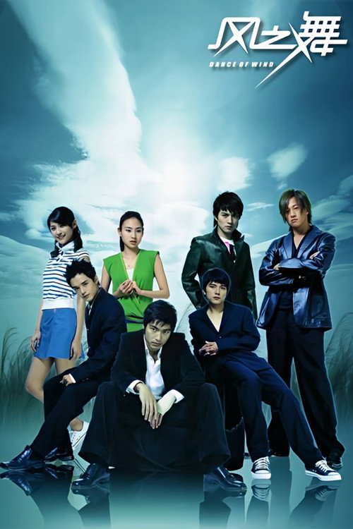 Póster de 风之舞