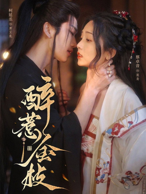 Póster de 醉惹金枝