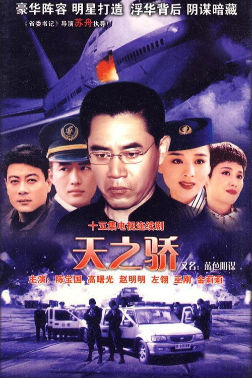 Póster de 中国空姐