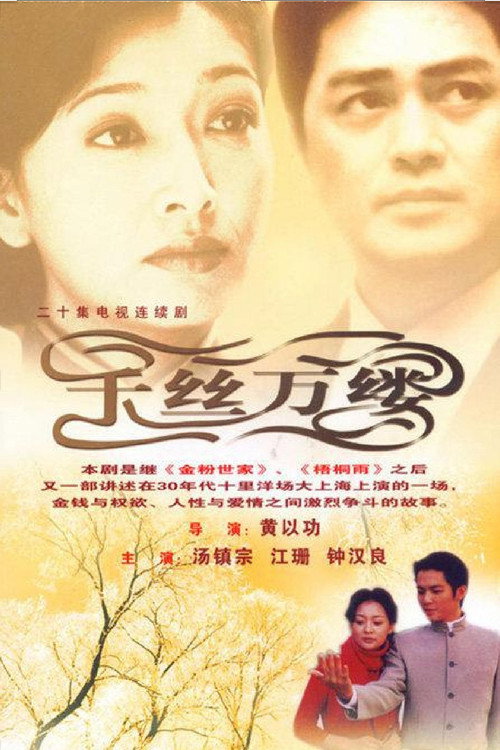 Póster de 千丝万缕
