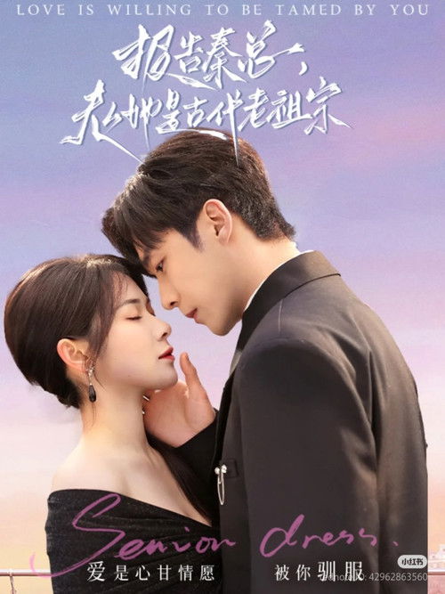 Póster de 报告秦总, 夫人她是古代老祖宗