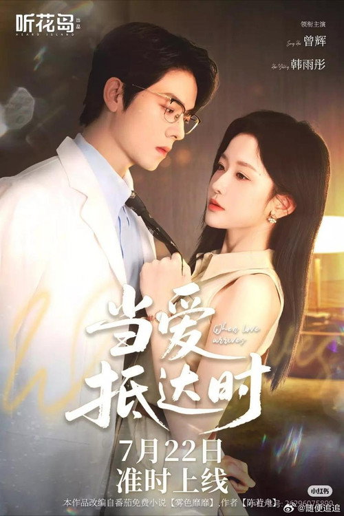 Póster de 当爱抵达时