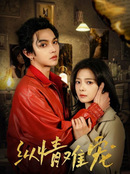 Póster de 纵情难宠
