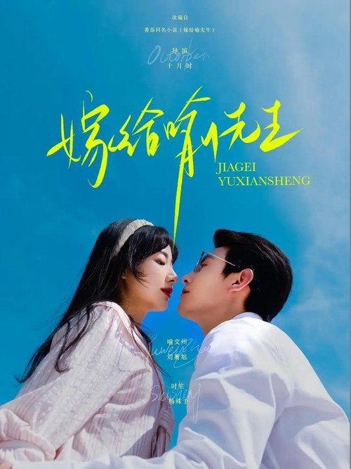 Póster de 嫁给喻先生