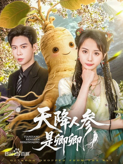 Póster de 天降人参是卿卿