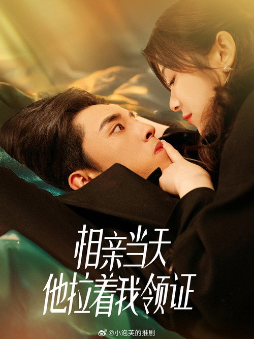 Póster de 玫瑰花开情深时