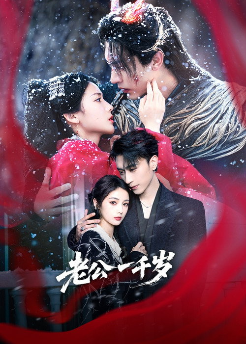 Póster de 老公一千岁