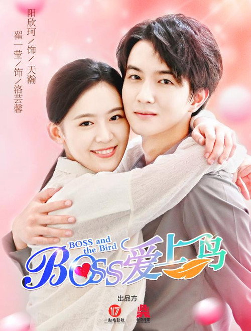 Póster de Boss爱上鸟
