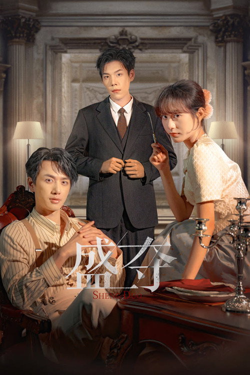 Póster de 盛夺
