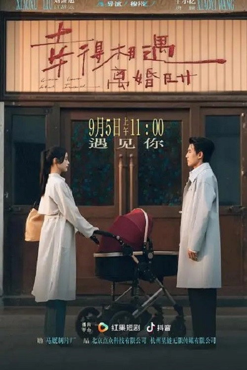 Póster de 幸得相遇离婚时