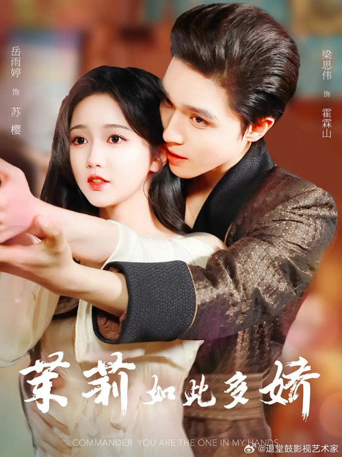 Póster de 茉莉如此多娇