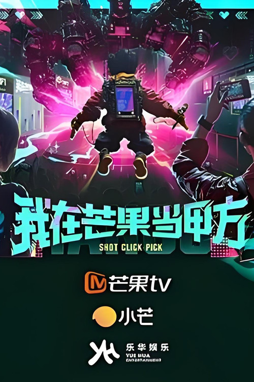 Póster de 我在芒果当甲方