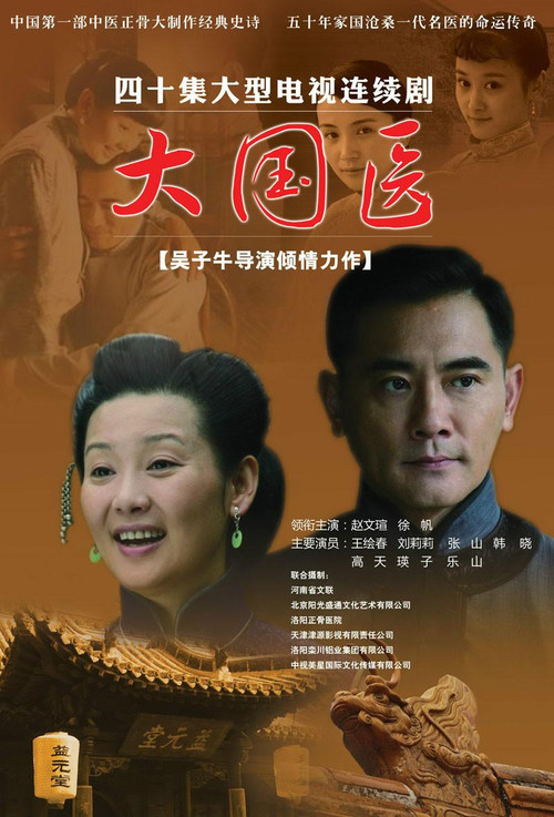 Póster de 大国医