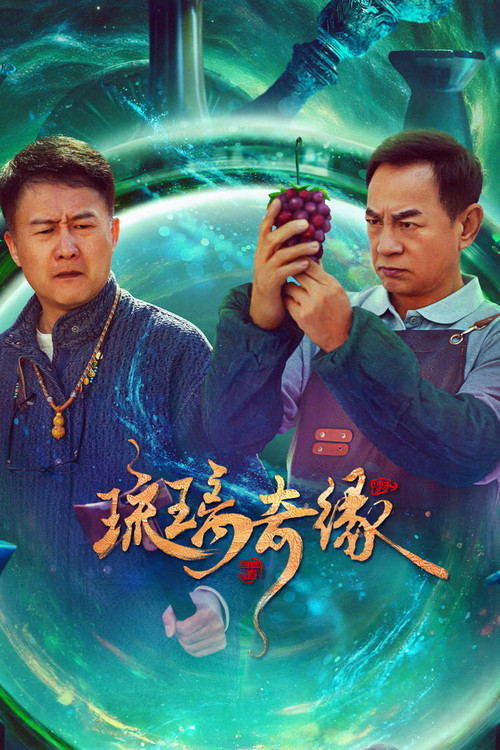 Póster de 琉璃奇缘