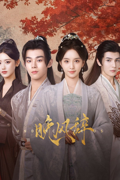 Póster de 晚风辞