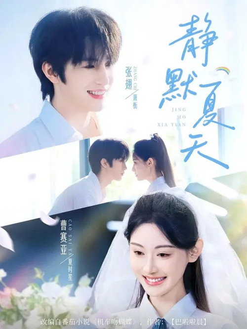 Póster de 静默夏天