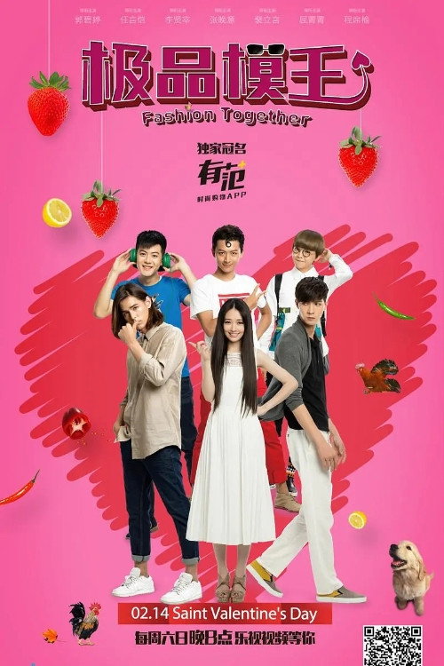 Póster de 极品模王