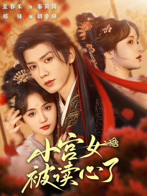 Póster de 小宫女被读心了