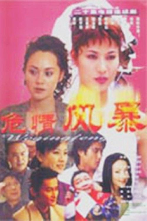 Póster de 危情风暴